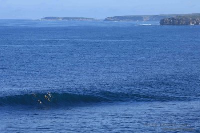 Surfing the Great Southern Ocean.