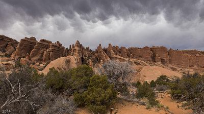 20140219-_MG_9026.jpg