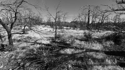 Chiricahua National Monument