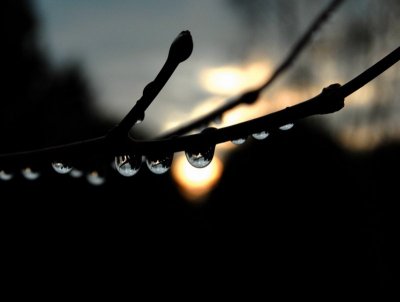 g9/42/1113342/3/154027667.J6hrm8Z4.jpg
