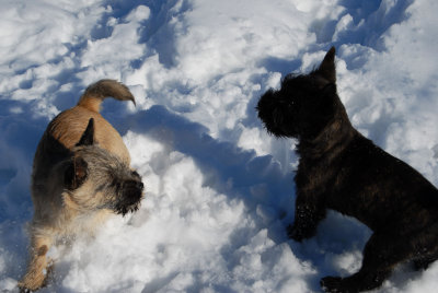 Bella and Kita