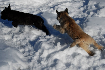 Bella and Kita