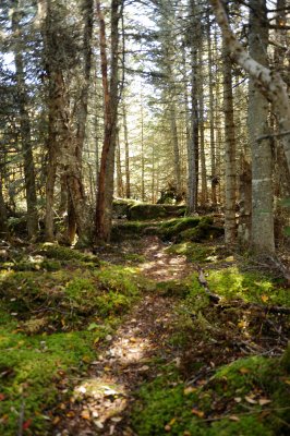 DSC_2718.jpg