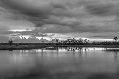 Pine Glades