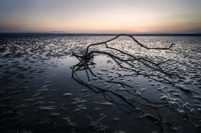 53. Machynys