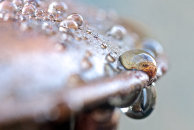 12. rusty lamp
