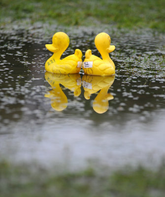 25. Two Little Ducks.jpg