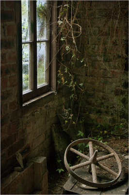 19. Corner of an old shed