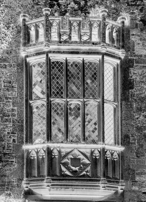 35. Fox Talbot Window
