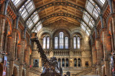 44. Prehistoric