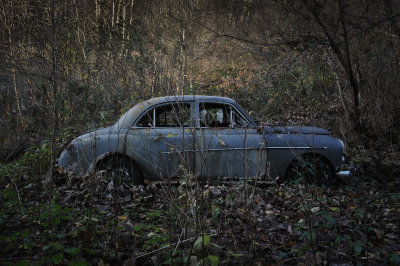 45. Wolseley