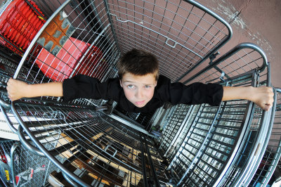 11. Caged in