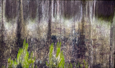 19. Abstract 1.jpg