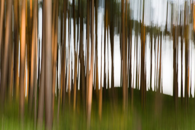 3. Abstract Trees
