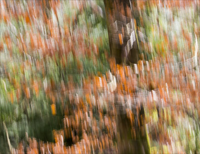 7. Abstract 2.jpg