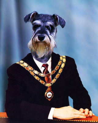9. Taking The Lead In Council.jpg