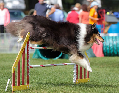 Saturday Excellent Jumpers PVKC 2013