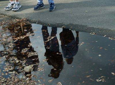 Puddle Picture