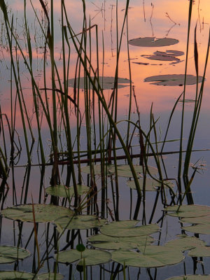 Hunter's Lake at Dawn