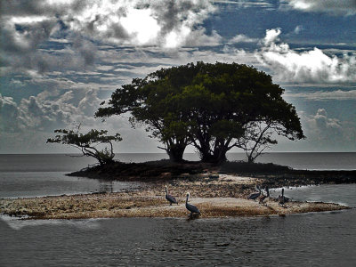 Everglades Refuge