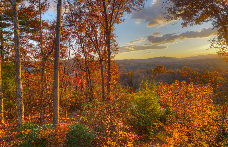 FALL LATE EVENING, DURING THE GOLDEN HOUR  -  AN HDR IMAGE