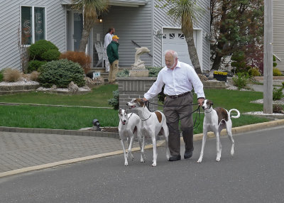 AS ONE OF OUR TEAM MEMBERS TALKS WITH A NEIGHBOR ACROSS THE STREET, THIS MAN CAME DOWN THE STREET WALKING THESE BEAUTIFUL DOGS
