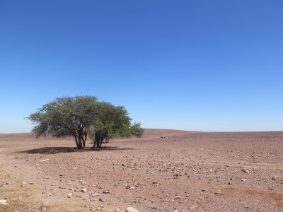 North Namibia, April 2015- Namibia