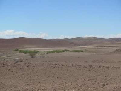 IMG_0705.JPG