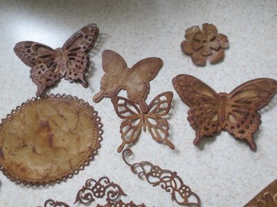 Leather butterflies. Cool. 