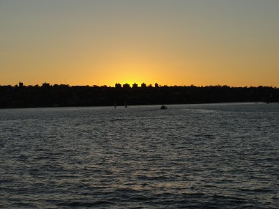 Manly Sunset
