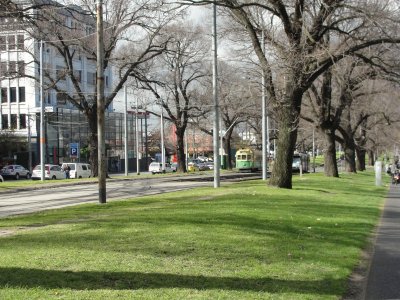 Wide avenues w/ Trams