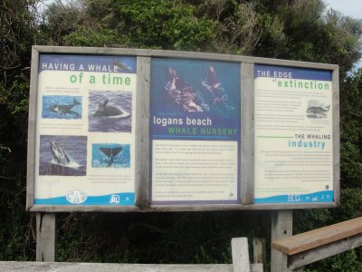 Logan's Beach Whale Nursery