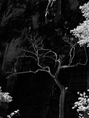 July 2013 - Zion 2009 Revisited