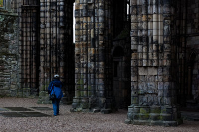 Walk Among the Ruins