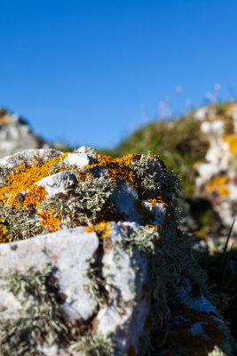 Marble Peaks