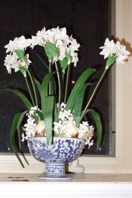 ORGflowers.jpg