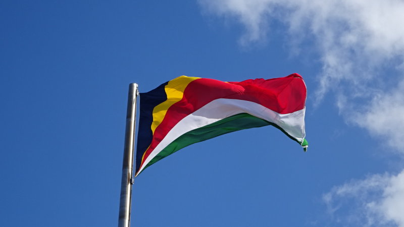 The flag