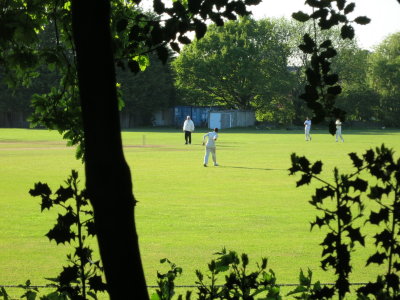 Buck Walk