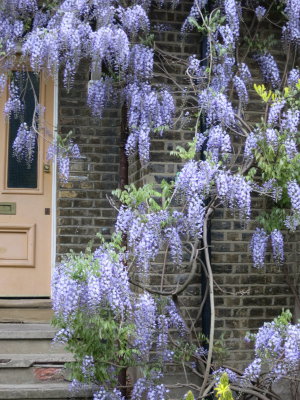 Walthamstow Village