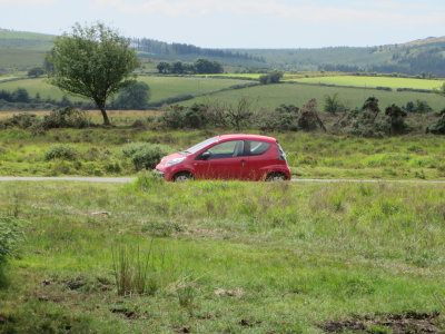 Dartmoor