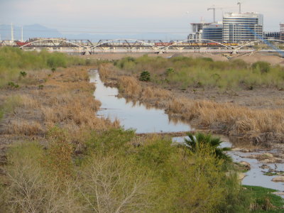 Salt River Phoenix