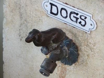 Dogs, Paso Robles