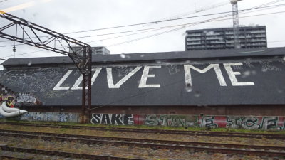 from the train