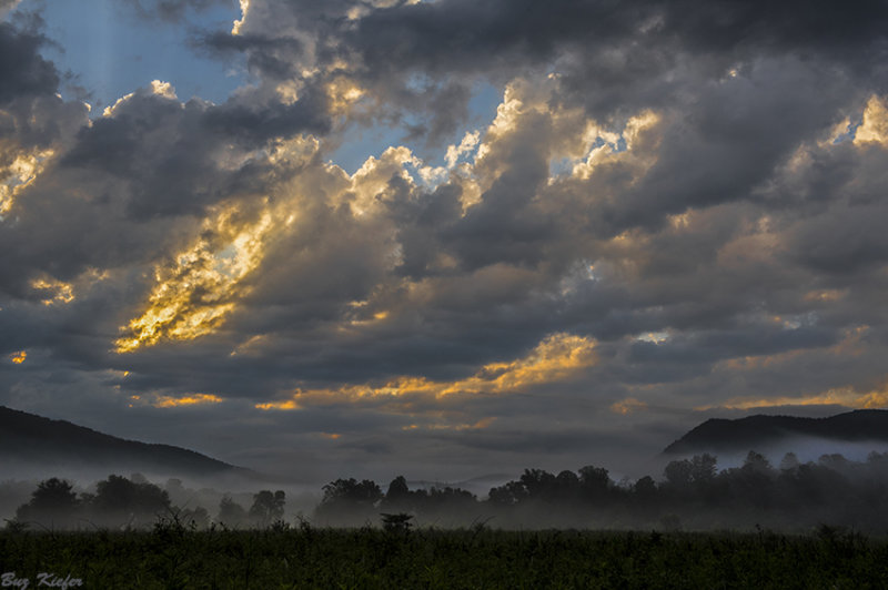 The Coming Dawn 