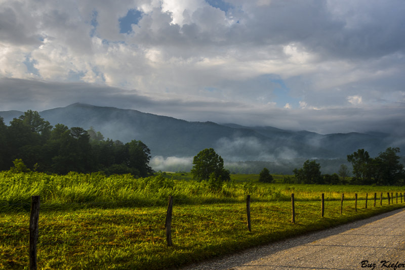 Looking Southeast From Hyatt Lane 