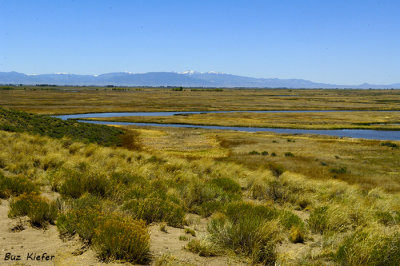 Alamosa Wildlife Refuge 