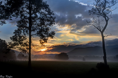 Early in Cades Cove 