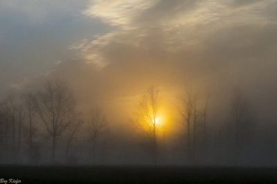 Morning Light and Fog 