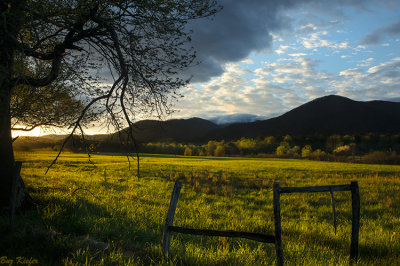 Morning Across an Empty Field 