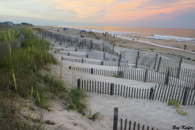 Sand Fences Along the Coast 